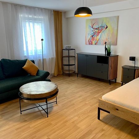 Air-Conditioned, Quiet Apartment With A Terrace In Center Of St Poelten - Smart Tv Sankt Poelten Exterior photo