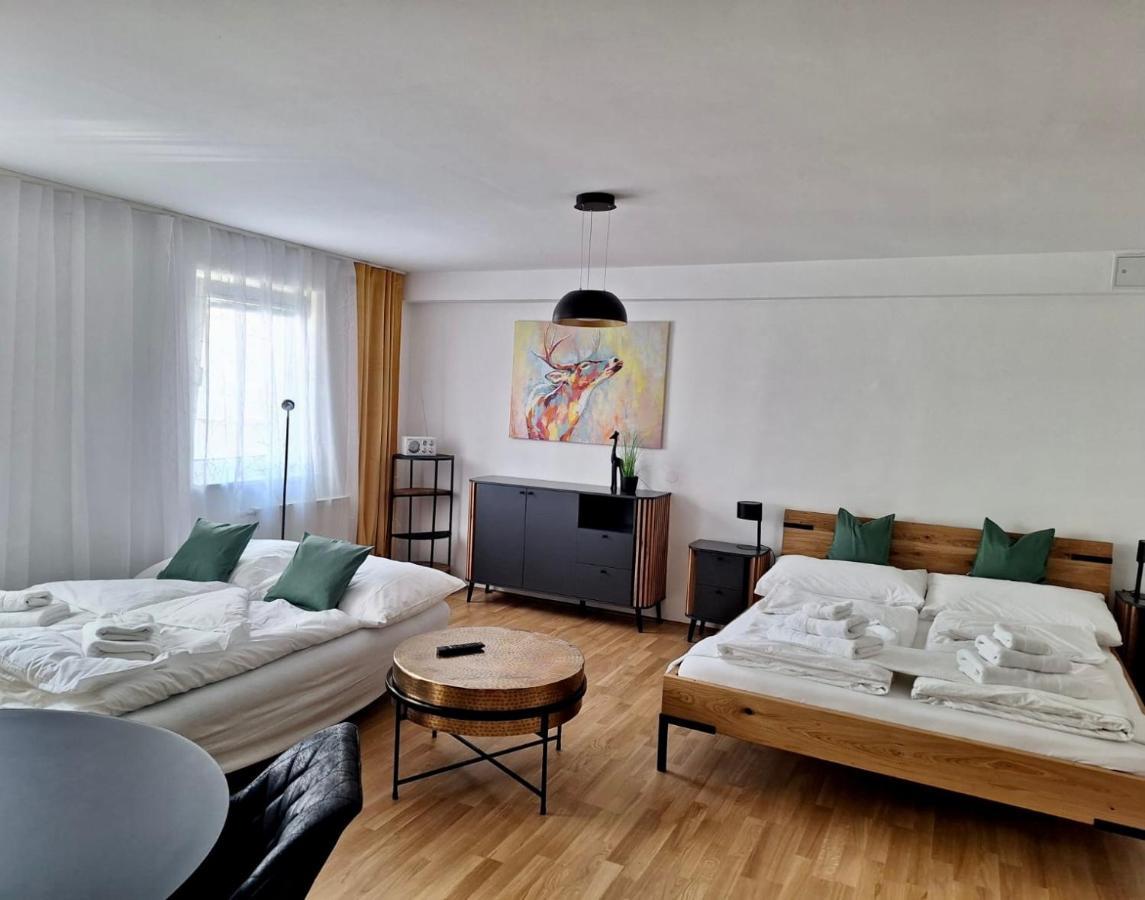 Air-Conditioned, Quiet Apartment With A Terrace In Center Of St Poelten - Smart Tv Sankt Poelten Exterior photo